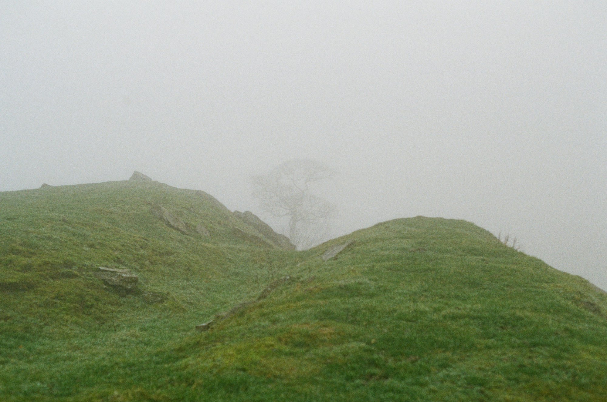 Green hills disappearing into morning mist